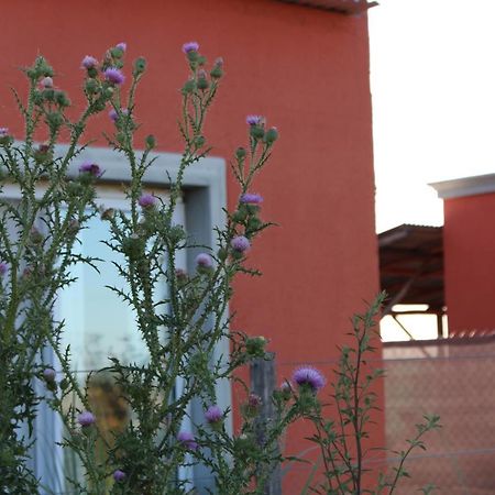 Vila La Narcisa Pehuajo Exteriér fotografie