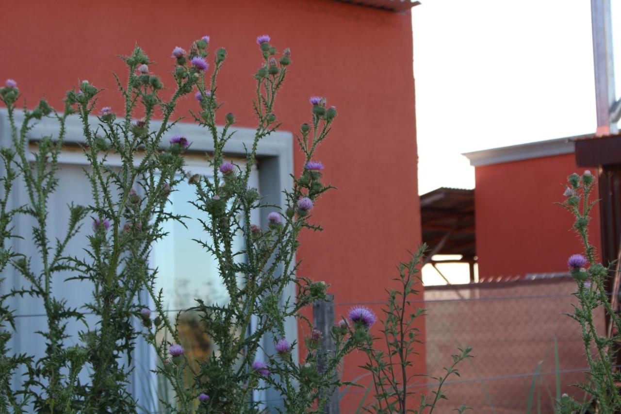 Vila La Narcisa Pehuajo Exteriér fotografie