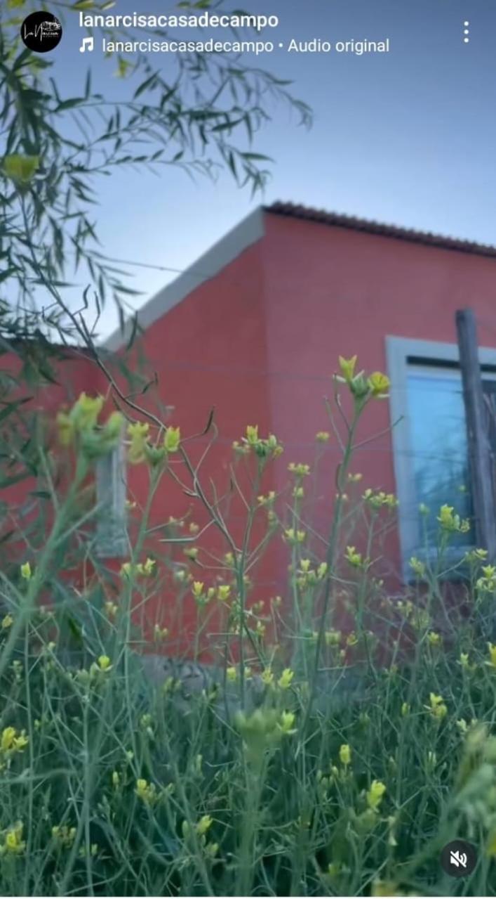 Vila La Narcisa Pehuajo Exteriér fotografie