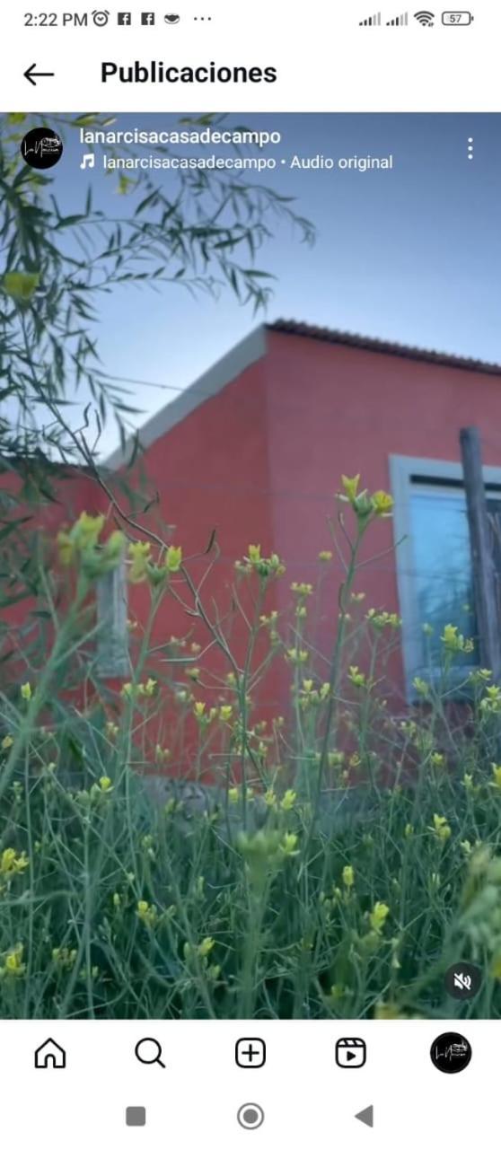 Vila La Narcisa Pehuajo Exteriér fotografie